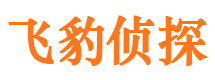 仲巴寻人公司